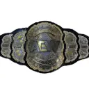 AEW TITLE BELT